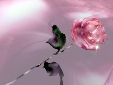 rose